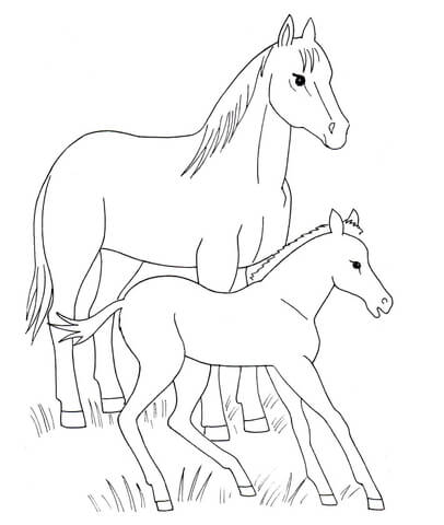 Horse And Foal Coloring Page